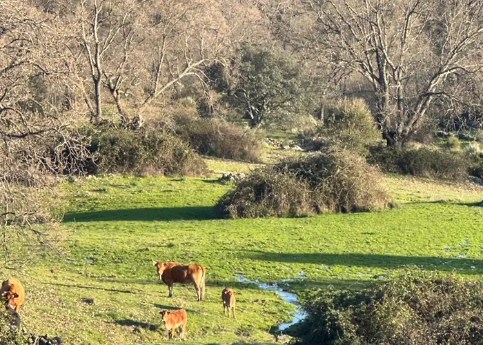 La Casona De Jaraiz Appartamento